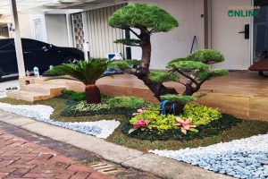 Jasa Tukang Taman Online