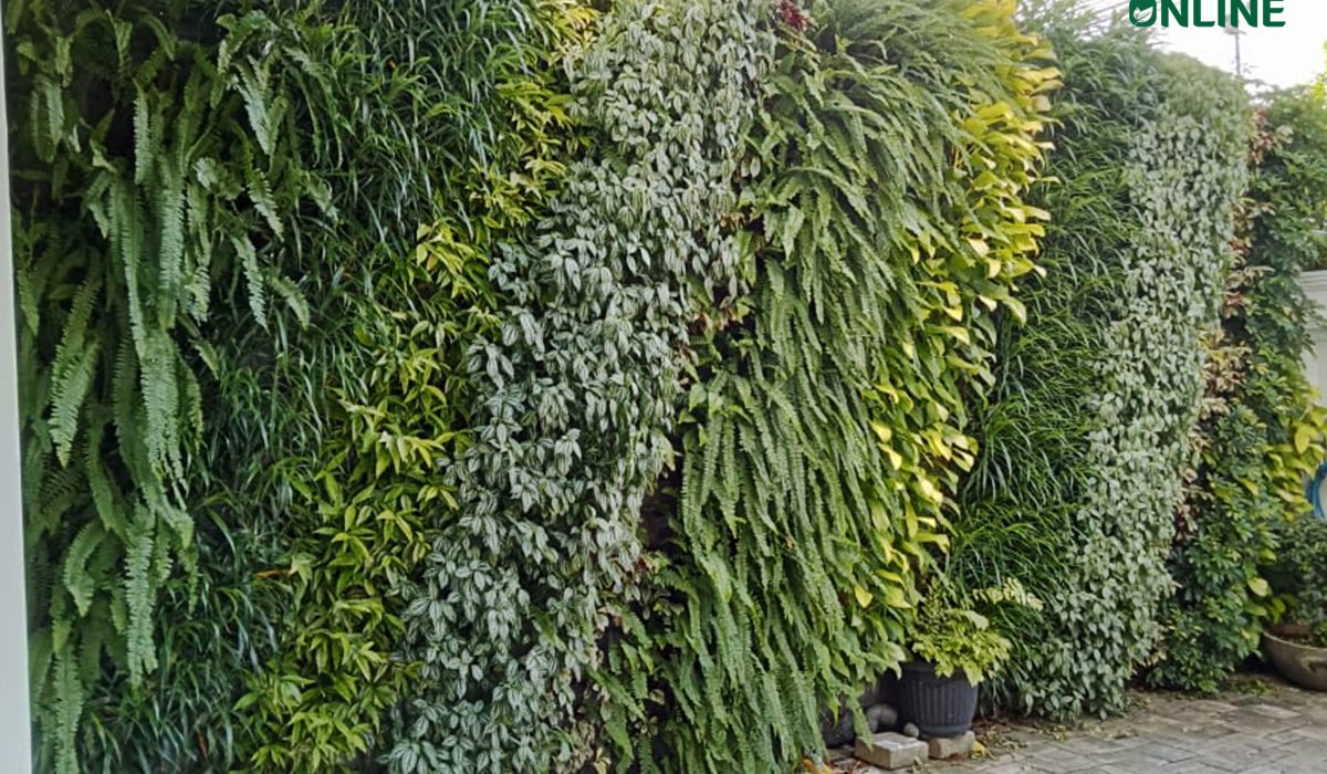 Jasa Pembuatan Vertical Garden Profesional untuk Rumah, Kantor & Cafe