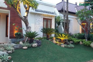 Read more about the article Tukang Taman Murah & Profesional