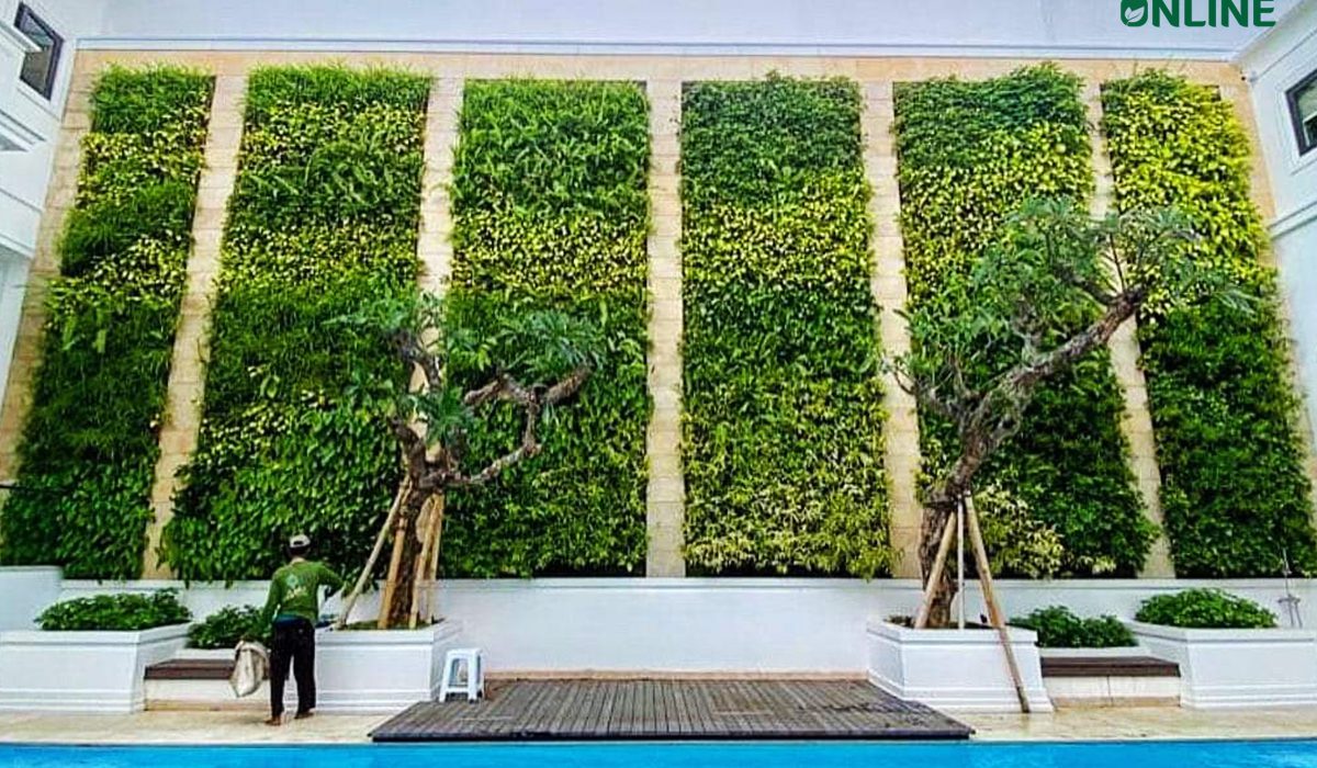Jasa Vertical Garden Bogor | Hadirkan Nuansa Alami nan Mewah di Hunian Anda