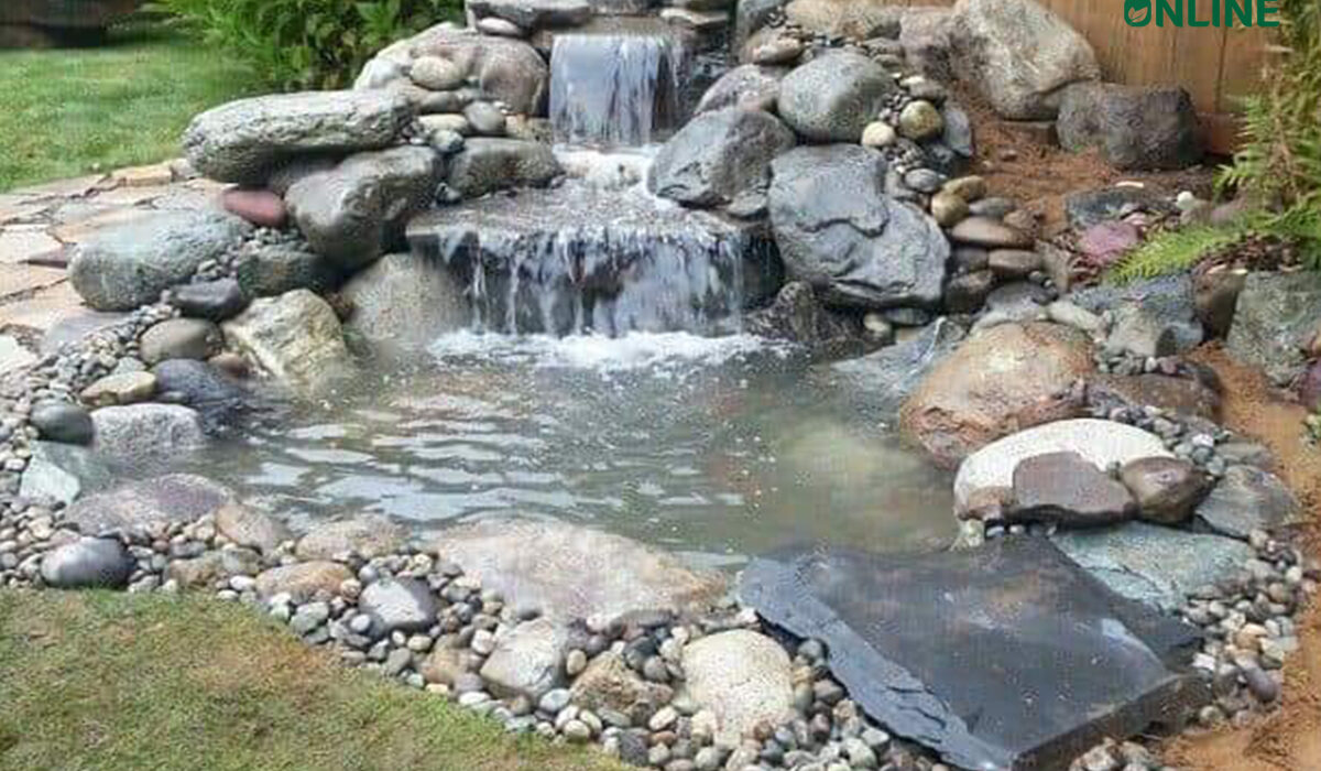 Jasa Pembuatan Kolam Ikan Koi