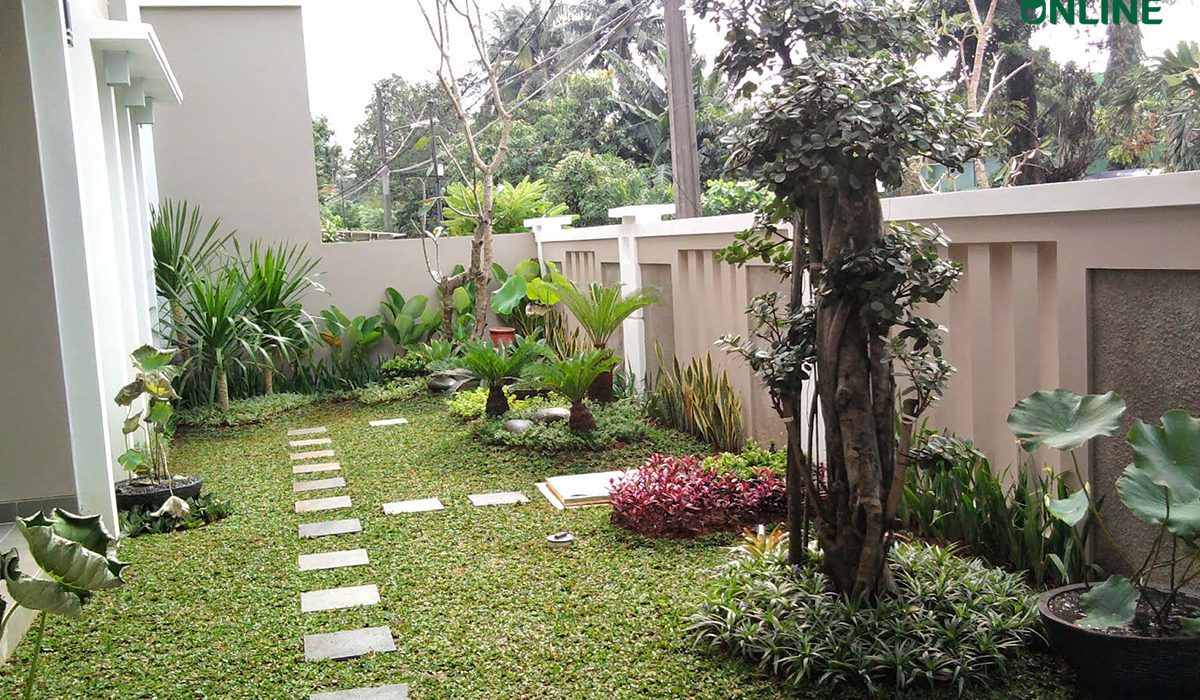 Jasa Pembuatan Taman BSD City Profesional, Murah & Bergaransi