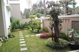 Read more about the article Jasa Pembuatan Taman BSD City Profesional, Murah & Bergaransi