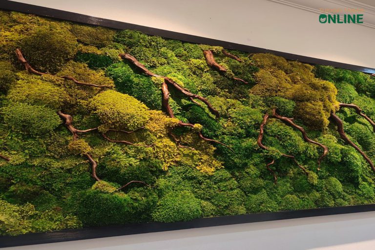 Read more about the article Jasa Pembuatan Moss Wall