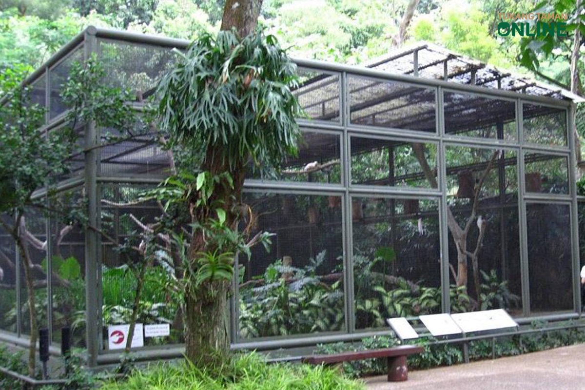 Jasa-Tukang-Taman-Online (1)